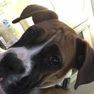 Meet your Posher, Jane